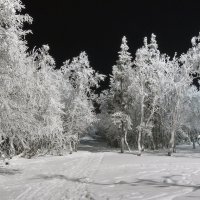 Зимняя сказка :: Александр Неустроев