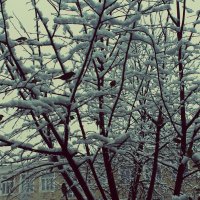 зима... :: Christin`e Aghababyan
