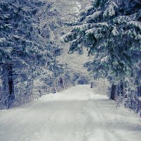 Дорога в снежное царство :: Анастасия Володина