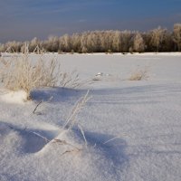 Зима :: Виталий Острецов