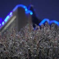 В саду у замка Снежной королевы.. :: Вадим Доронин