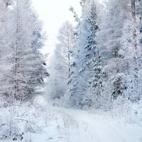 зима :: Роман Кондрашин