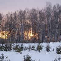 Зимниёй Закат. :: александр цуканов