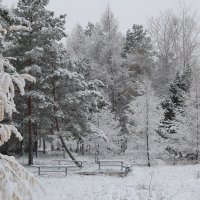 Первый снег :: Николай Сапегин