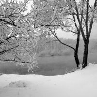 Первый снег :: василий Ляпунов