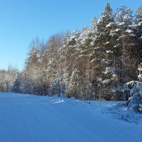 Зимняя дорога :: Александр Арсеньев