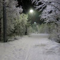 Загородный парк зимней ночью :: Валентина Каткова