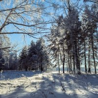 Зима :: Илья Макаров