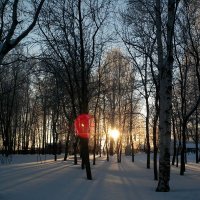Вечерняя зима... :: Анна Абашева