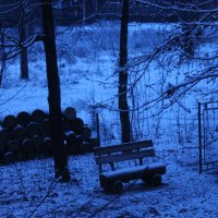 Зима :: Анна Дрожжина