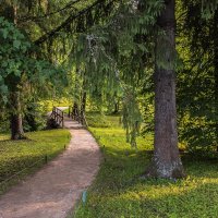 В Михайловском :: Анатолий Мигов