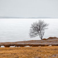 ++++ :: Андрей Гусев