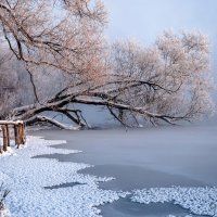 Морозное утро :: Анатолий 71 Зверев