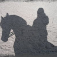 Тень Человек на коне :: ANTON IGOREVICH