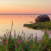 Закат на финском заливе :: Андрей Кротов