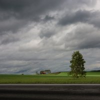 перед грозой :: Константин Шумский