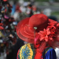 красная шляпа :: Елена Бурёнова