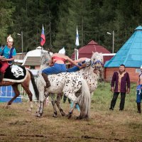 Алтайская борьба на чубарых лошадях :: Виктор Ковчин