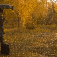 Осенний дождь :: Роман Кондрашин