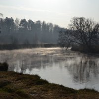 Осенняя Пехорка :: Денис Щербак