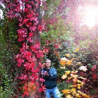 Осенних красок торжество... :: Ольга Игнатьева