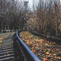 Autumn road :: Диана Каргина