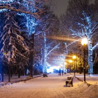 Вечерняя заснеженная аллея парка :: Daria Egorova