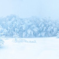 На заснеженной вершине :: Фотограф Дарья Скугарева