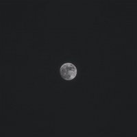 Moon :: Алексей Горбатько