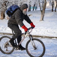 Старость его дома не застанет... :: Ирина Данилова