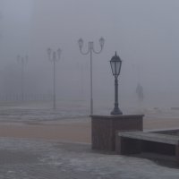 Туман в феврале :: Сергей Базылев