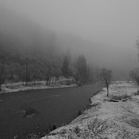 в туман :: Александр Потапов