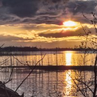 первомайский закат на финском заливе :: Сергей Базылев