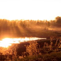 Фото сделано в двух шагах от города :: Рина *