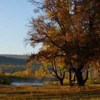 Забайкальская осень :: Елена 