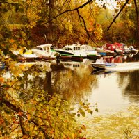 Осень на реке :: Вероника Подрезова
