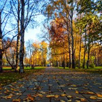 Осенний парк :: Евгений Петерс