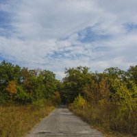 Дорога в осень :: Ксения Довгопол