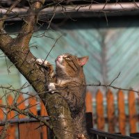 Врешь, не уйдешь! :: Евгений Барзенков