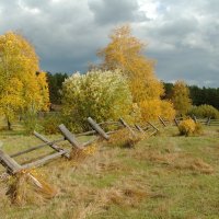 Осень за околицей :: Наталья Покацкая