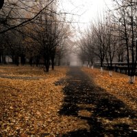 Осенний туман :: Екатерина Дмитренко
