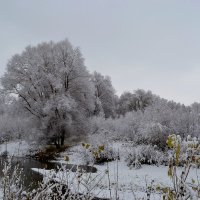 Первый снег :: Tatiana Lesnykh Лесных