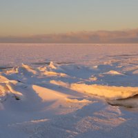 Белое море замерзло :: Светлана Ку