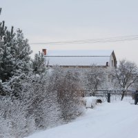 Зима в Подмосковье :: Светлана Ларионова