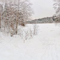 Зимняя панорама :: Анастасия Белякова