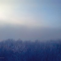 Снежный туман :: Евгений Андронов