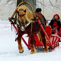 Улыбка "Барыни " :: Александр Запылёнов