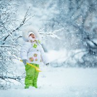 Первый снег :: Елена Рябчевская