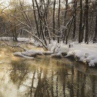 Январь :: Александр Степанов