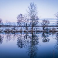 Зеркало :: Леся Українка